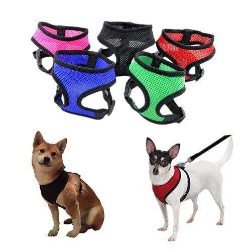 Adjustable Pet Leashes for Dogs & Cat