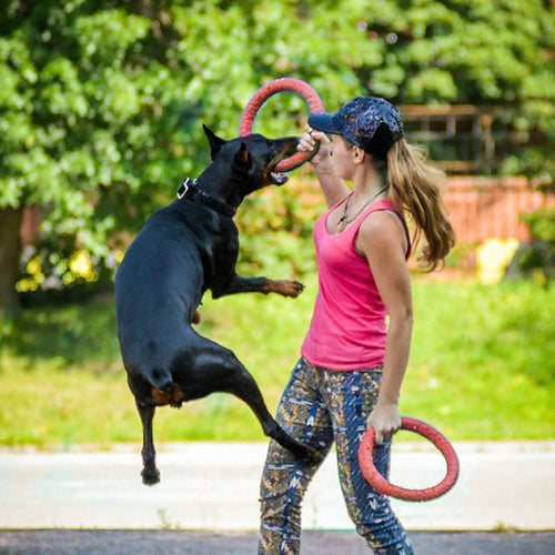 Flying Discs  Toys For Dogs