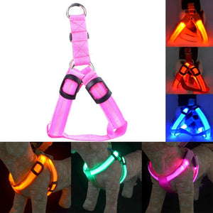 Rechargeable LED Nylon Pet Dog Cat Harness