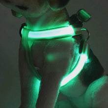 Load image into Gallery viewer, Rechargeable LED Nylon Pet Dog Cat Harness