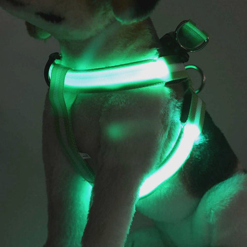Rechargeable LED Nylon Pet Dog Cat Harness