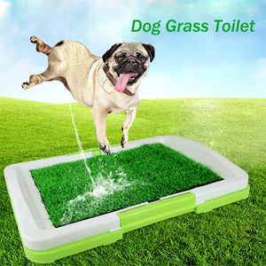 Indoor Pet Puppy Dog Cat Grass Pad Mat Training 3-tier Toilet