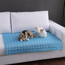 Load image into Gallery viewer, Summer Cooling Mats Blanket Ice Pet Dog Bed