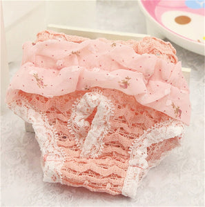 Pet Dog Shorts Diaper Sanitary Pants