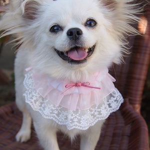 Cute Pet Kitten Puppy Collar Necklace