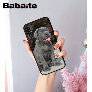 Lovely Pet Dog Pitbull Novelty Fundas Phone Case Cover for iPhone X XS MAX 6 6S 7 7plus 8 8Plus 5 5S XR for case