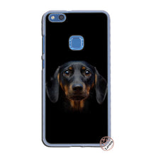 Load image into Gallery viewer, Dachshund dog Hard Phone Case for Huawei P30 P20 Pro P9 P10 Plus P8 Lite Mini 2016 2017 P smart Z 2019 Cover