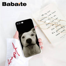 Load image into Gallery viewer, bull terrier dog Soft Silicone Phone Case for iPhone X XS MAX 6 6S 7 7plus 8 8Plus 5 5S XR 10 Case