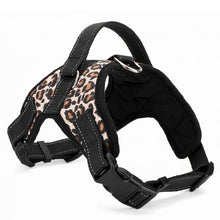 Load image into Gallery viewer, Nylon Pet Leashes For Dogs