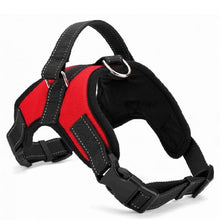 Load image into Gallery viewer, Nylon Pet Leashes For Dogs