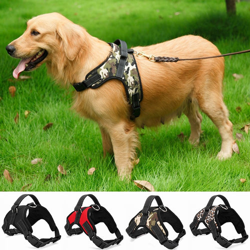Nylon Pet Leashes For Dogs