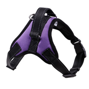 Pets Leashes Harness For Dogs