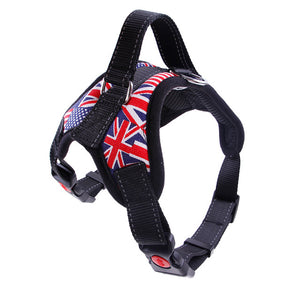 Pets Leashes Harness For Dogs