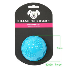 Load image into Gallery viewer, CAITEC Dog Toys Squeaking Bouncing Ball