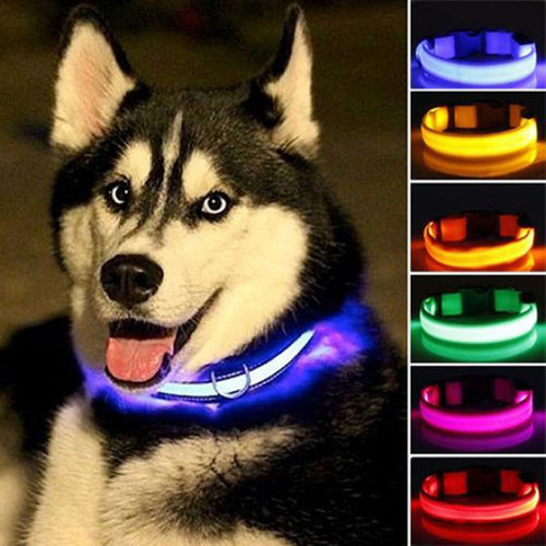 LED Pet dog Collar,Night Safety . Flashing In The Dark