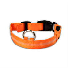 Load image into Gallery viewer, LED Pet dog Collar,Night Safety . Flashing In The Dark