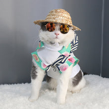 Load image into Gallery viewer, Pet Sunglasses Dog Eye-wear Cat Glasses Little Dog Glasses