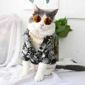 Pet Sunglasses Dog Eye-wear Cat Glasses Little Dog Glasses