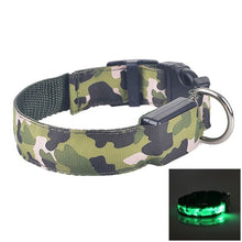 Load image into Gallery viewer, IALJ Night Safety LED Pet Dog Collar