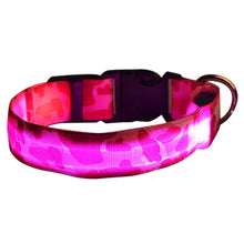 Load image into Gallery viewer, IALJ Night Safety LED Pet Dog Collar