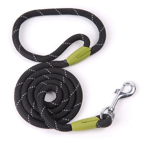 Pet Leashes For Dogs