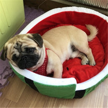 Load image into Gallery viewer, Cute Watermelon Modeling Kennel Dog Bed  Pet  Bed Removable Pillow Small Medium Dogs