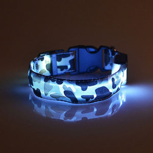 Luminous Pet Collar LED