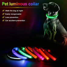 Load image into Gallery viewer, Nylon Pet Dogs &amp; Cats Collars LED Light Night Safety