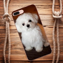 Load image into Gallery viewer, Galaxy.Alpha.Core.Prime.Note 4 5 8 S3 S4 S5 S6 S7 S8 S9 mini edge Plus TPU Cell Phone Case Cover White Maltese Puppies Dog