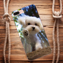 Load image into Gallery viewer, Galaxy.Alpha.Core.Prime.Note 4 5 8 S3 S4 S5 S6 S7 S8 S9 mini edge Plus TPU Cell Phone Case Cover White Maltese Puppies Dog