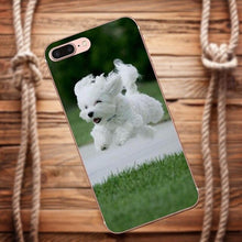 Load image into Gallery viewer, Galaxy.Alpha.Core.Prime.Note 4 5 8 S3 S4 S5 S6 S7 S8 S9 mini edge Plus TPU Cell Phone Case Cover White Maltese Puppies Dog