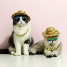 Load image into Gallery viewer, Fashion Dog Glasses Eyewear Sunglasses For Cats Small Large Dogs