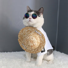 Load image into Gallery viewer, Fashion Dog Glasses Eyewear Sunglasses For Cats Small Large Dogs