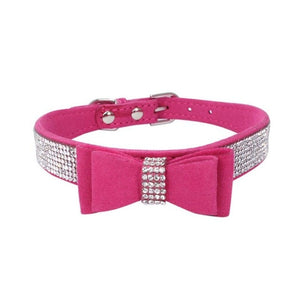 Pet Dog Collar Harnesses