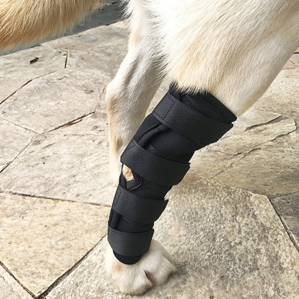 Dog Recovery Sleeve  Bandage