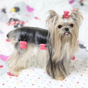 10PCS Bowknot Cute Dog Rubber Band Handmade