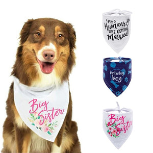 Diffrent colors Dog Bandanas