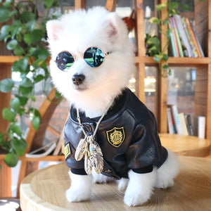 Pet Sunglasses Dog Eye-wear Cat Glasses Little Dog Glasses