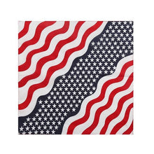 Load image into Gallery viewer, American Flag Pet Dog Bandana