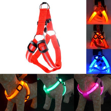 Load image into Gallery viewer, Rechargeable LED Nylon Pet Dog Cat Harness