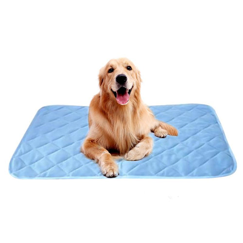 Pet Pad Summer for Dogs & Cats