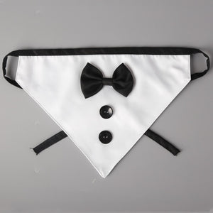 Handsome and Fashionable White Dog Bandana Tie