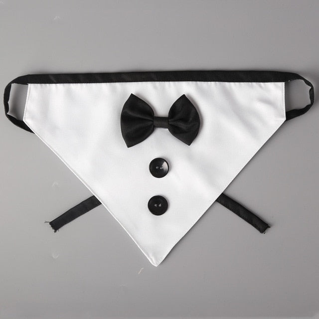 Handsome and Fashionable White Dog Bandana Tie