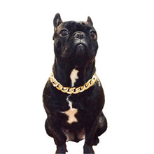 Load image into Gallery viewer, Teddy Bago law fighting dog bully gold  small and medium dog collar