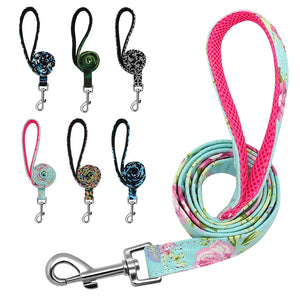 Pet Dog Leashes