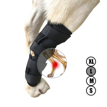 Load image into Gallery viewer, Dog Canine Rear Leg Knee Brace Hock Joint Wrap for Heals and Prevents