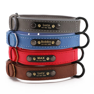 Collars For Fashion Dogs