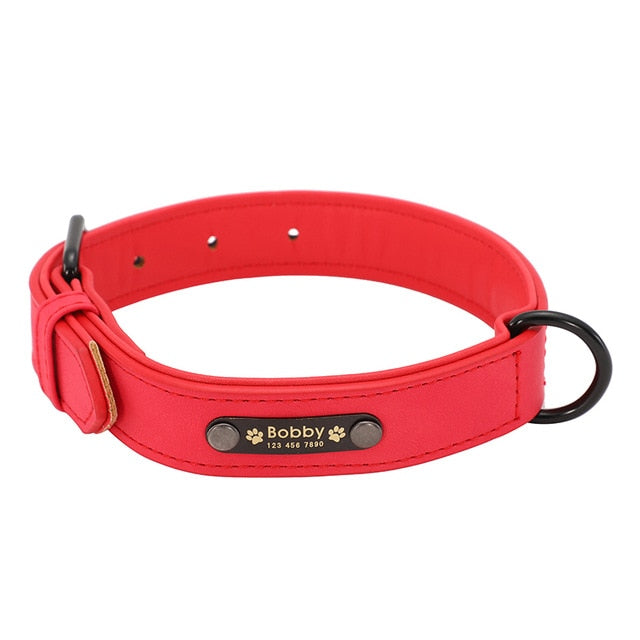 Collars For Fashion Dogs