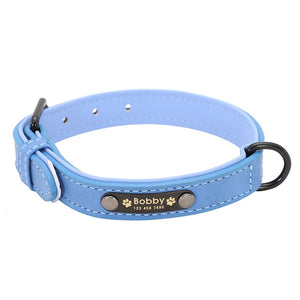 Collars For Fashion Dogs