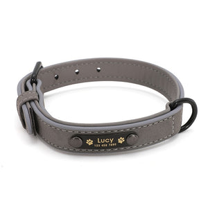 Collars For Fashion Dogs